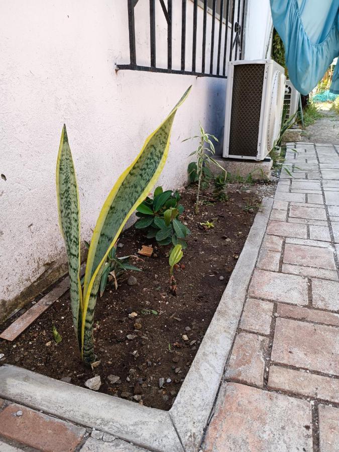Hostal A 10 Min Del Centro De 베라크루즈 외부 사진